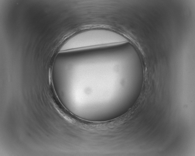 X0000078840013200611131009