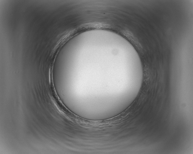 X0000078840014200611131009