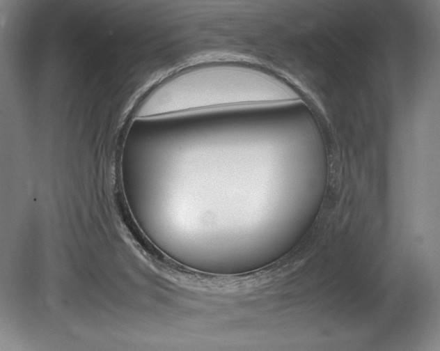 X0000078840015200611131009