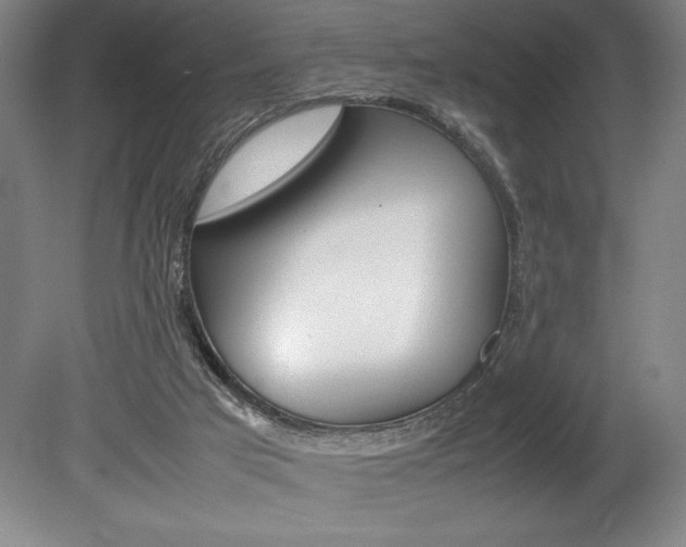 X0000078840017200611131009