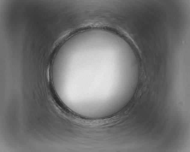 X0000078840019200611131009