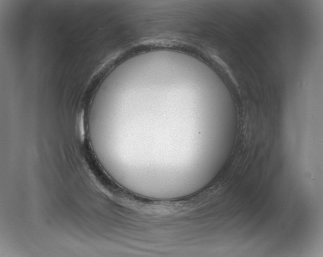 X0000078840020200611131009