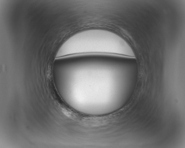 X0000078840025200611131009