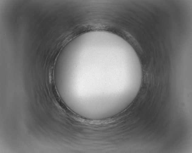 X0000078840026200611131009