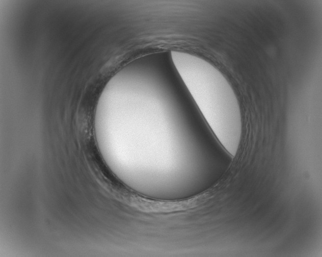 X0000078840031200611131009