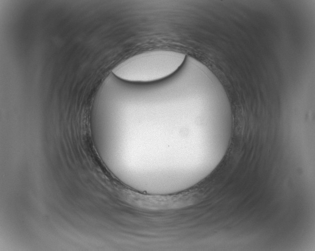 X0000078840034200611131009