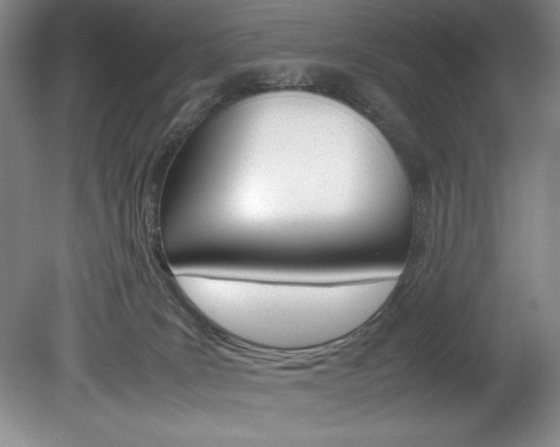 X0000078840035200611131009