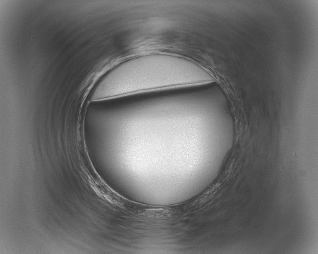 X0000078840050200611131008