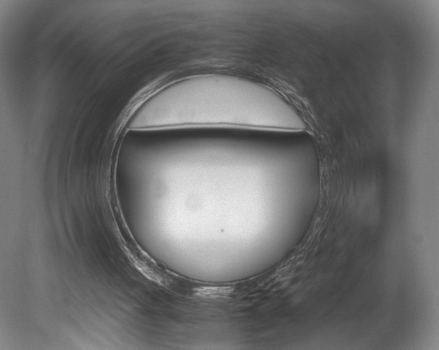 X0000078840051200611131008