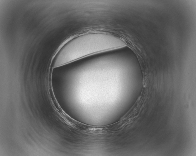 X0000078840052200611131008