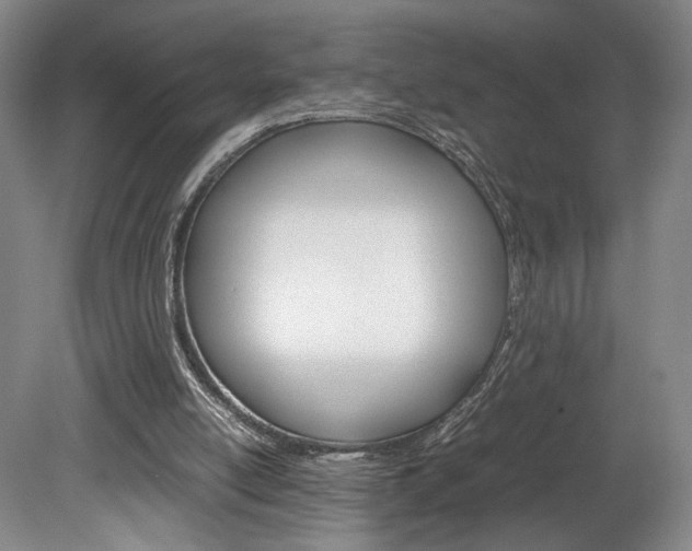 X0000078840054200611131008