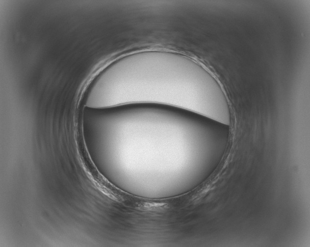 X0000078840055200611131008