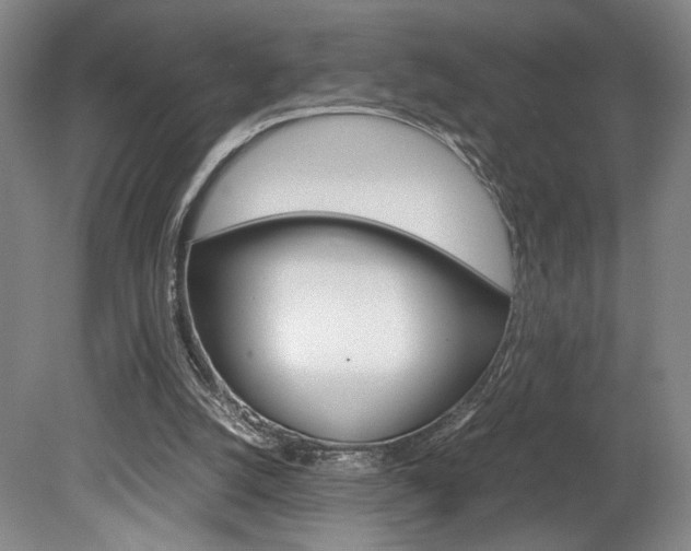 X0000078840056200611131008