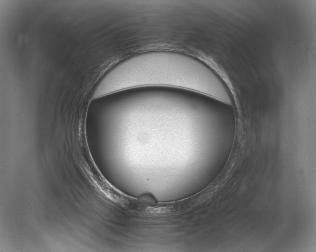 X0000078840057200611131008