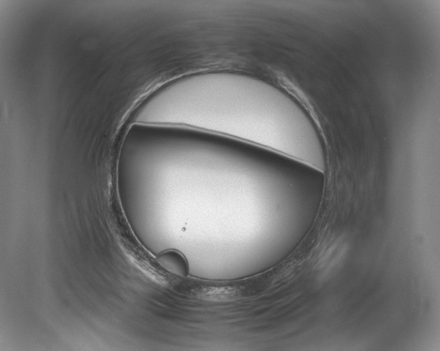 X0000078840059200611131008