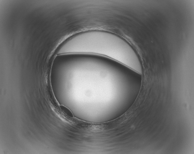 X0000078840060200611131008