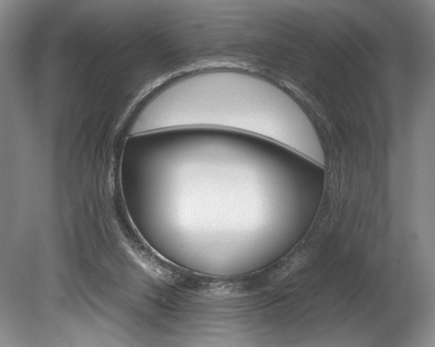X0000078840064200611131008