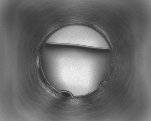 X0000078840067200611131008