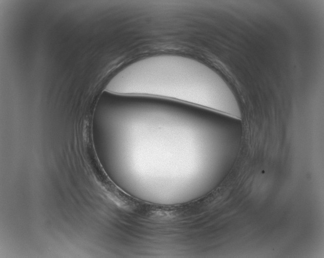 X0000078840071200611131008