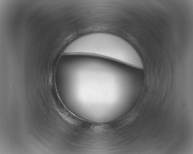 X0000078840072200611131008