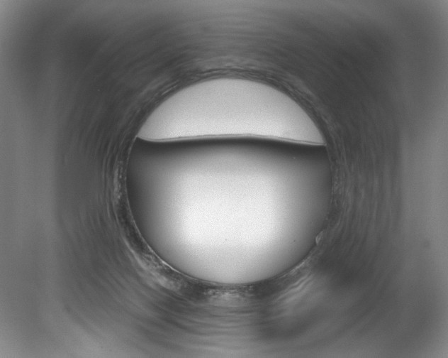 X0000078840074200611131008