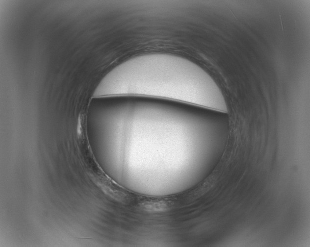 X0000078840075200611131008