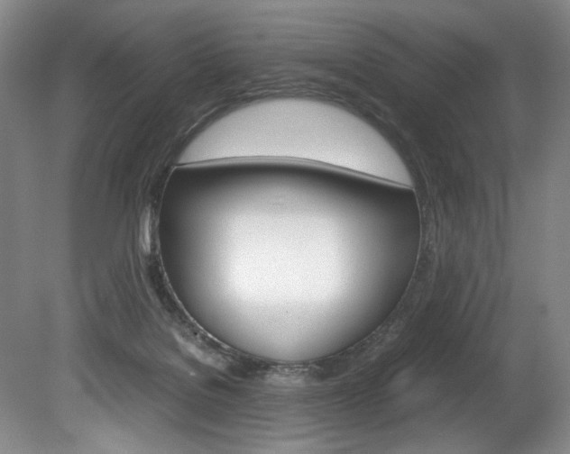 X0000078840076200611131008