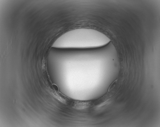 X0000078840081200611131009