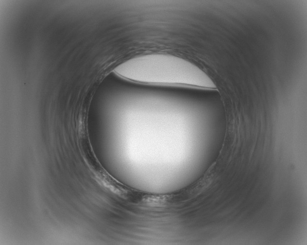 X0000078840084200611131009