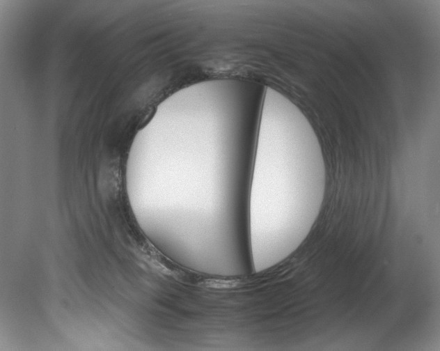 X0000078840085200611131009