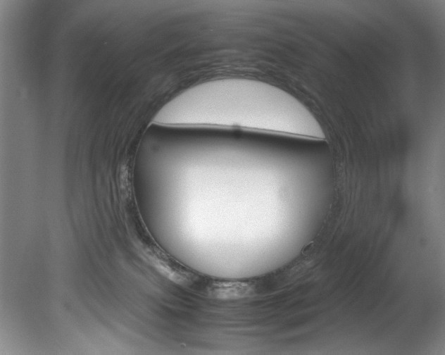 X0000078840087200611131009