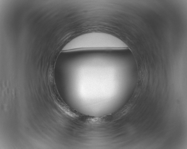 X0000078840092200611131009