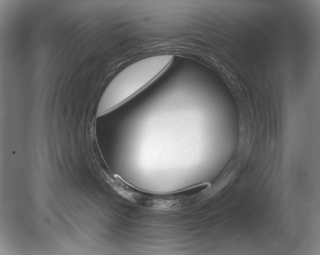 X0000078840096200611131009