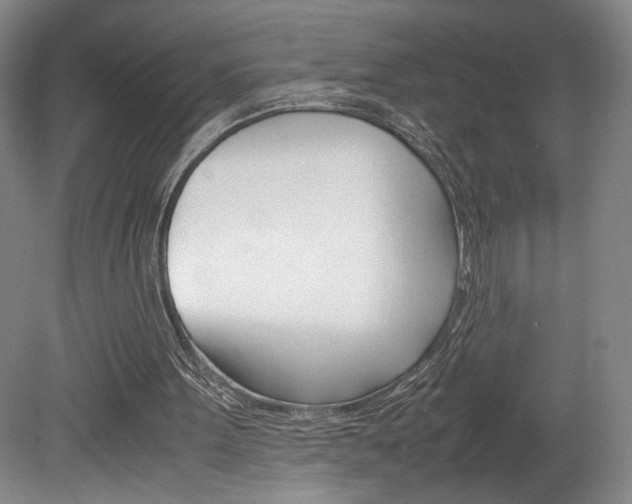 X0000078840099200611131008