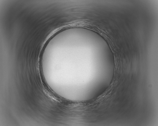 X0000078840100200611131008