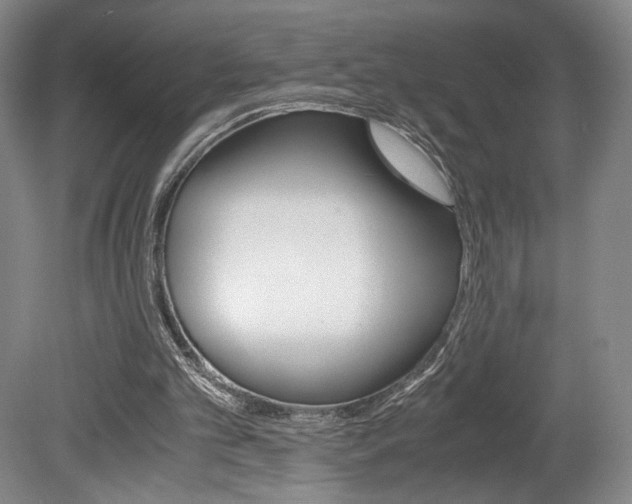 X0000078840101200611131008