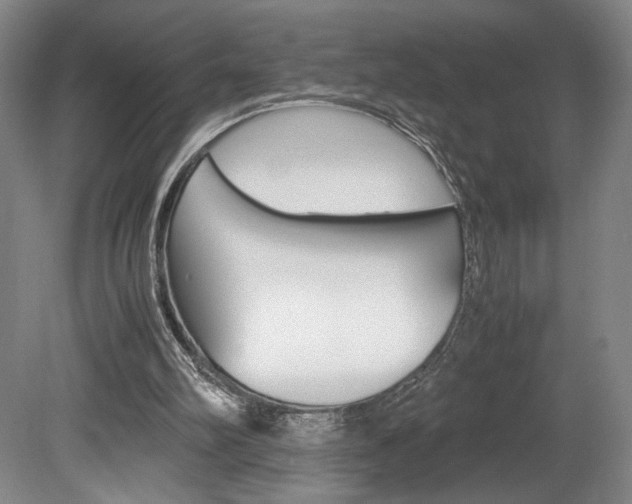 X0000078840102200611131008