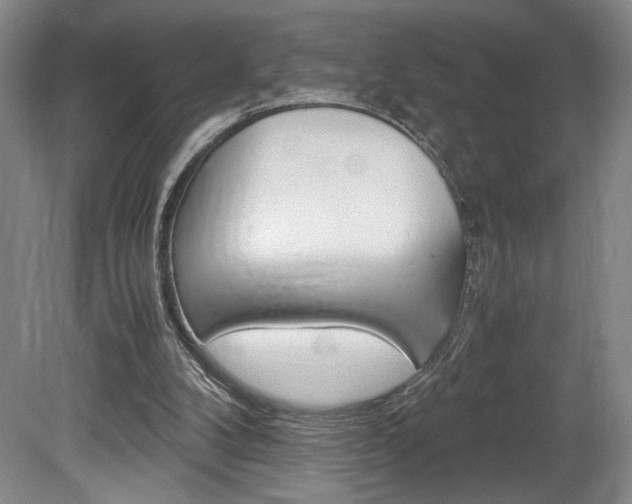 X0000078840104200611131008