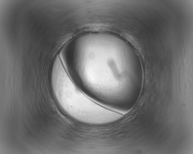 X0000078840105200611131008