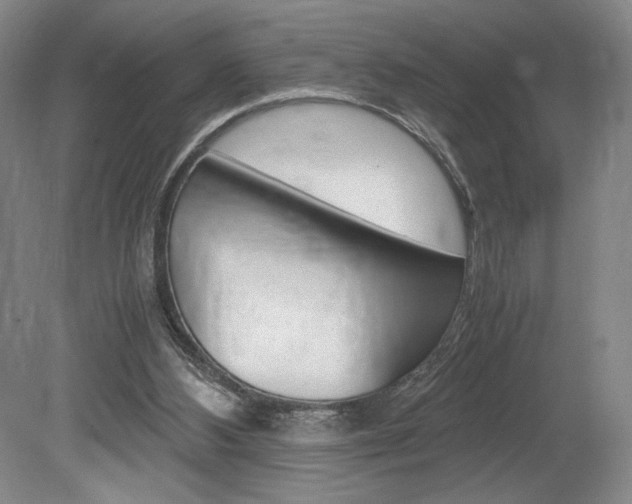 X0000078840108200611131008