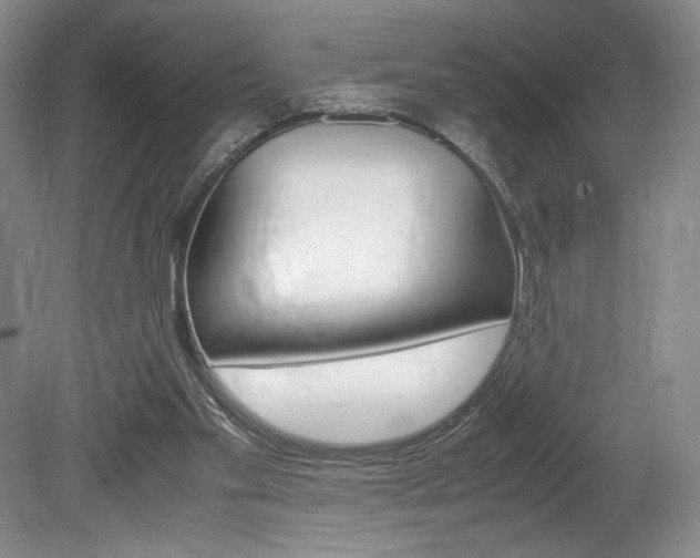 X0000078840109200611131008