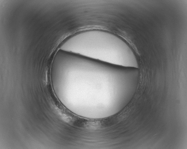 X0000078840110200611131008