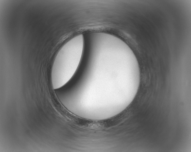 X0000078840115200611131008