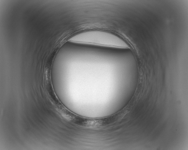 X0000078840117200611131008