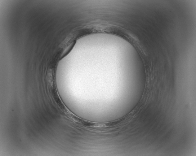 X0000078840121200611131008
