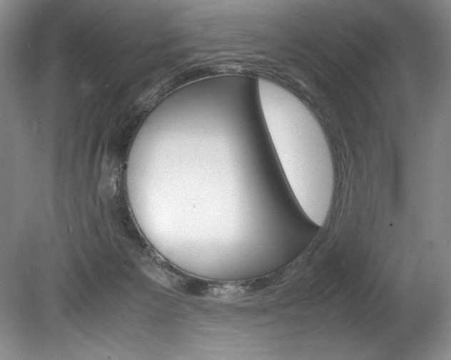 X0000078840125200611131008
