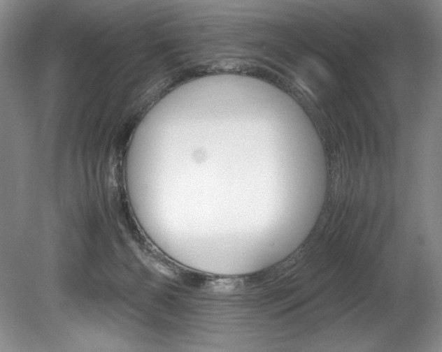 X0000078840126200611131008