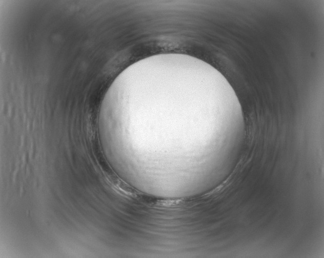 X0000078840136200611131007