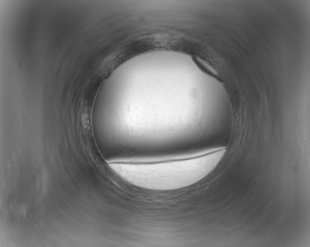 X0000078840137200611131007