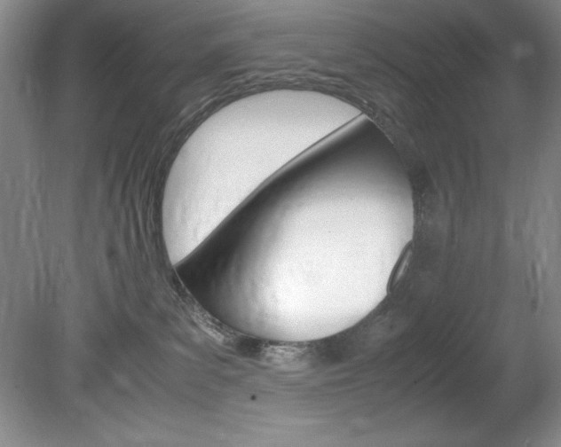 X0000078840139200611131007